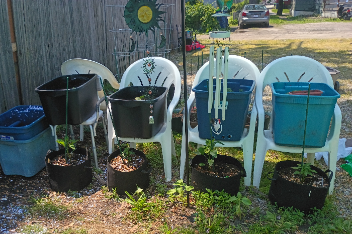 A picture of 4 raised tote planters in a row